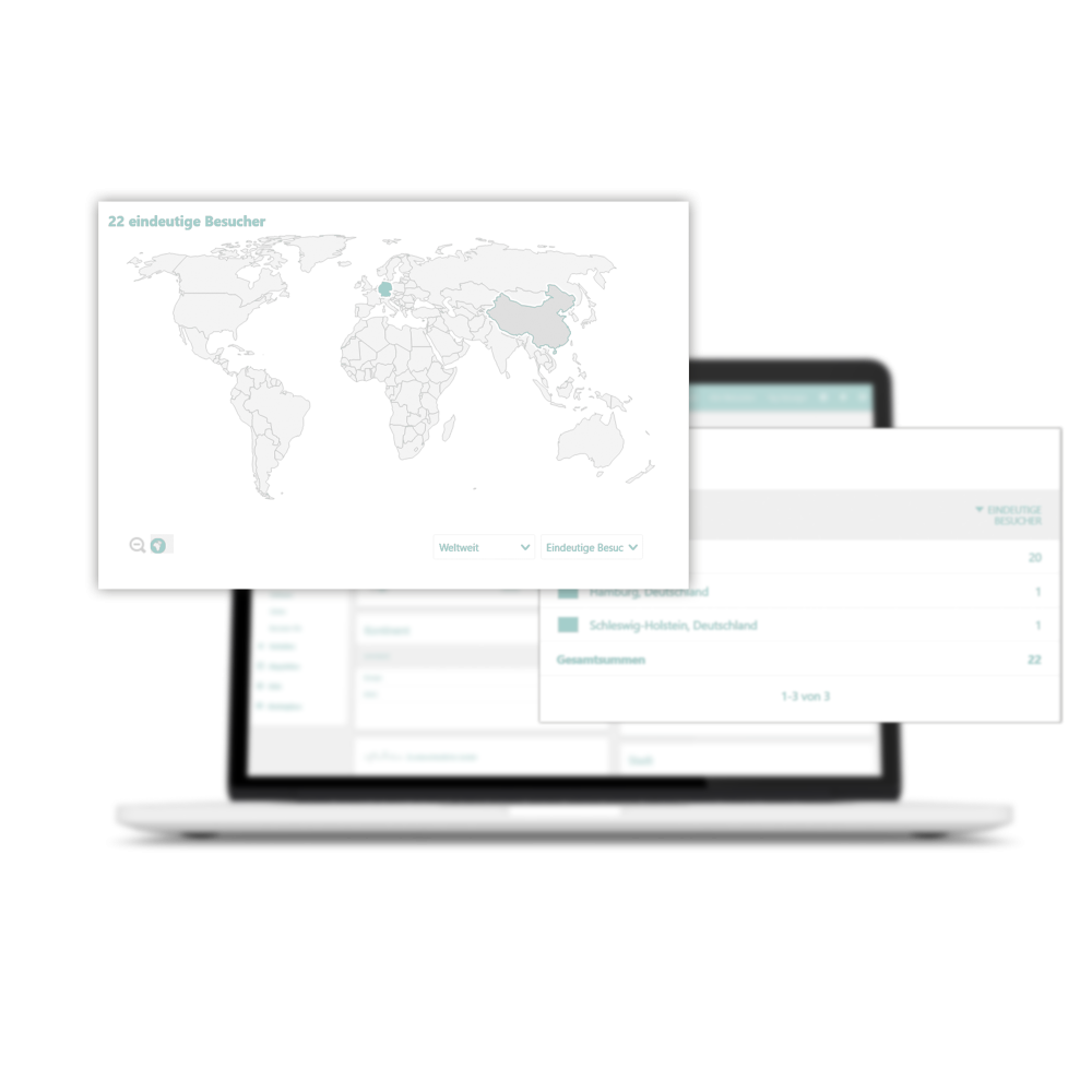 Lernen Sie Ihr Websitebesucher besser kennen. Detailierte Infos bei vollem Datenschutz. artseid · Grafik Webdesign Werbeagentur Lübeck-Travemünde Schleswig-Holstein